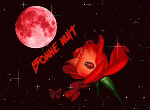 bonne nuit rose et coccinelle